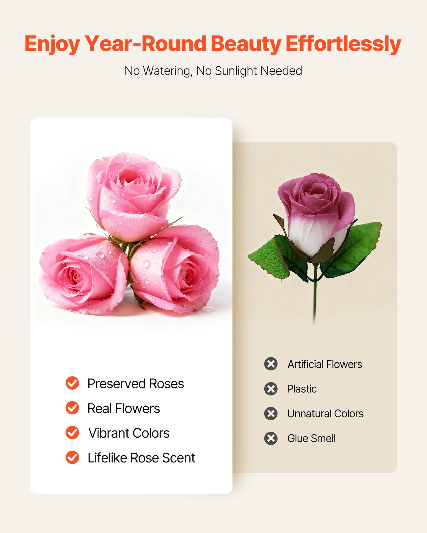 Forever Flowers, 50 konserverade rosor i en låda, Eternal Flowers Immortal Bukett Födelsedagspresent för leverans Prime Women Her Wife Mothers, Jubileum, Alla hjärtans dag, Jul, Söt Rosa