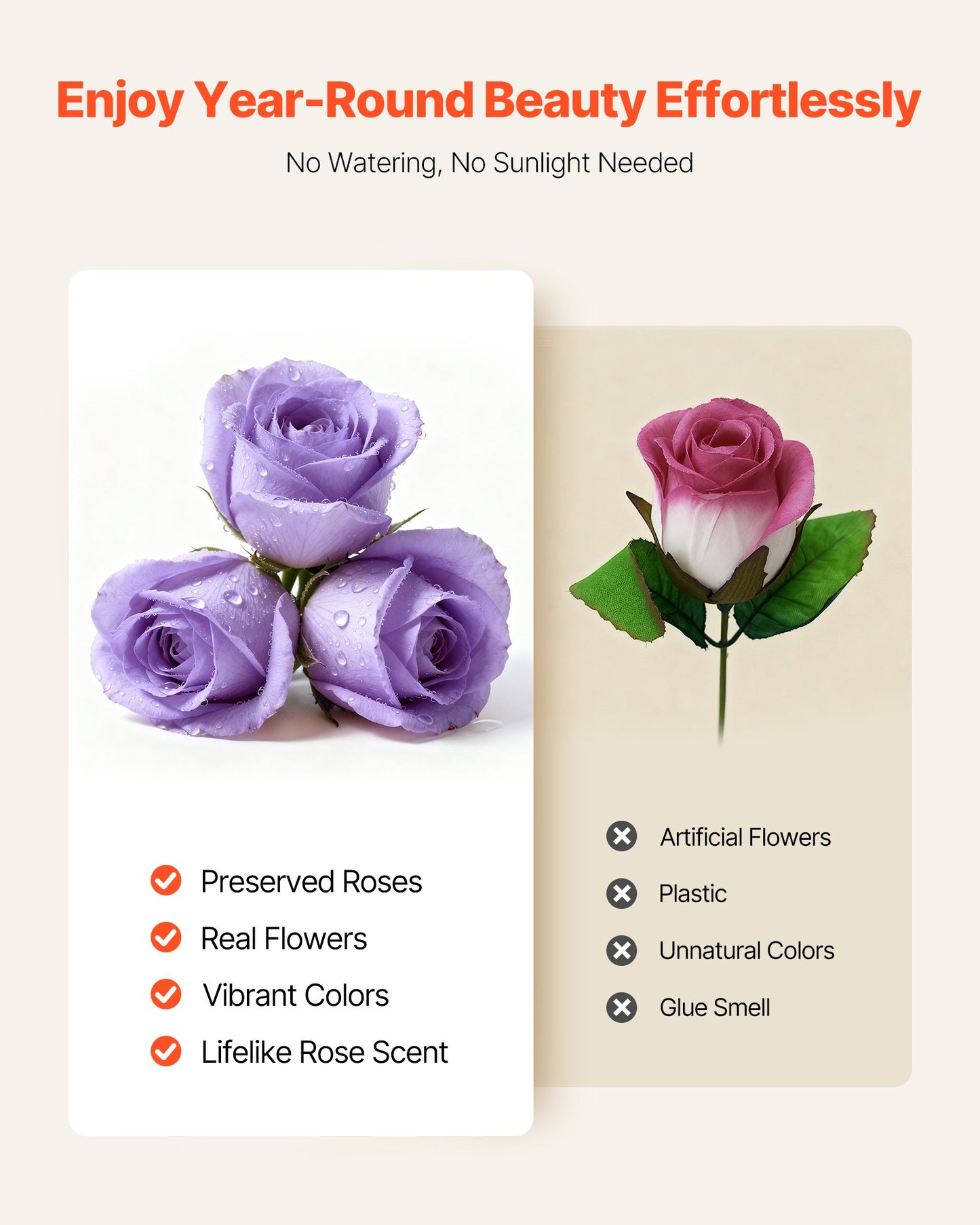 Eviga blommor, 50 konserverade rosor i en låda, eviga blommor, odödlig bukett, födelsedagspresent för kvinnor, hennes fru, mödrar, årsdag, alla hjärtans dag, jul, lavendel lila